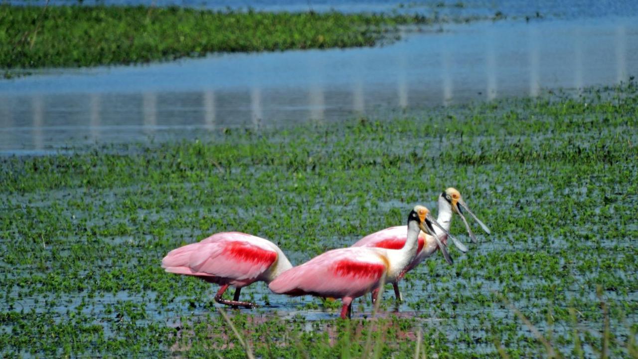 Los Chaja Ecolodge Барра-де-Валисас Экстерьер фото
